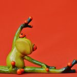 frogs-1249434_1920