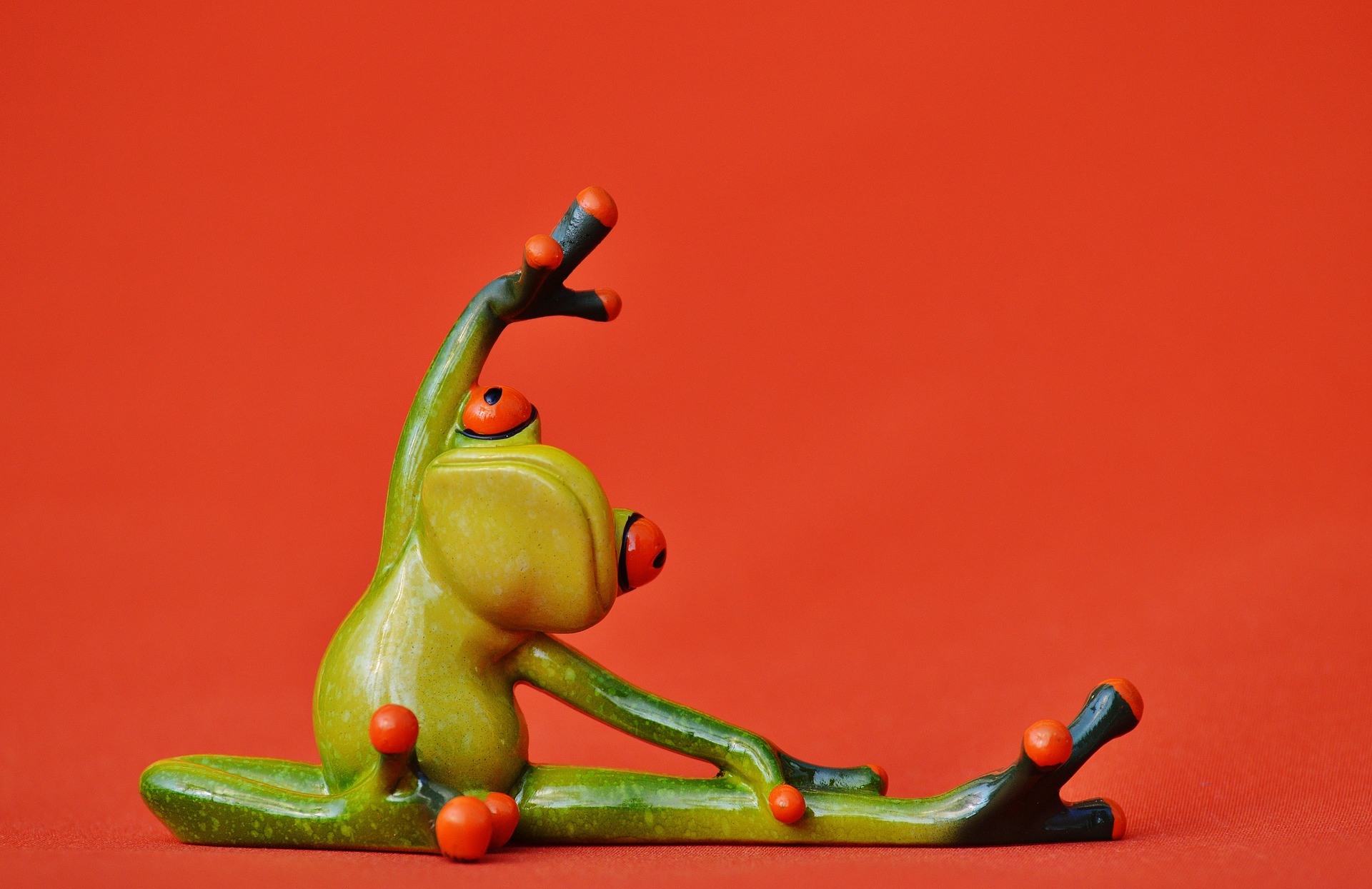 frogs-1249434_1920