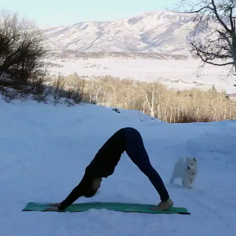yoga neige